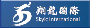 SkyIC International